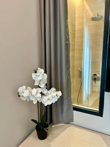 Venis Hotel - image 4