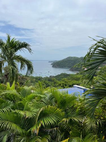 Bahia Pez Vela Resort