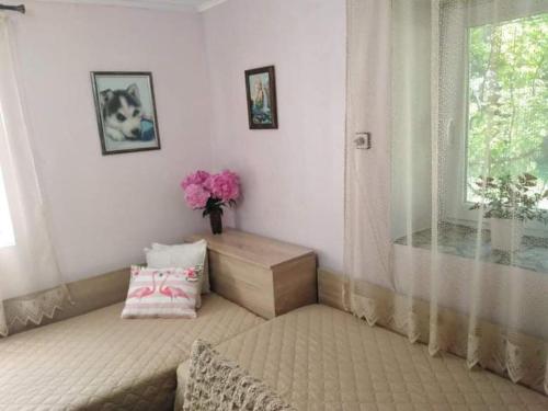 Lovely studio in Dragoman with garden and garage in Slivnitsa