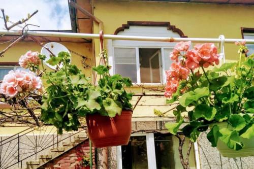 Lovely studio in Dragoman with garden and garage in Slivnitsa