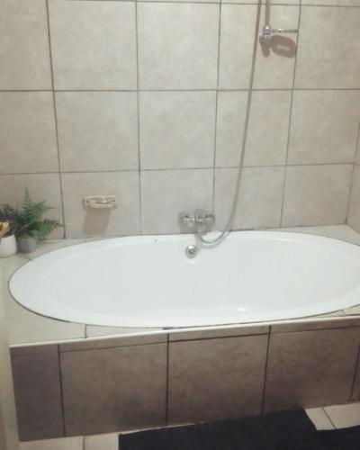 Tsumeb Backpackers & Safari