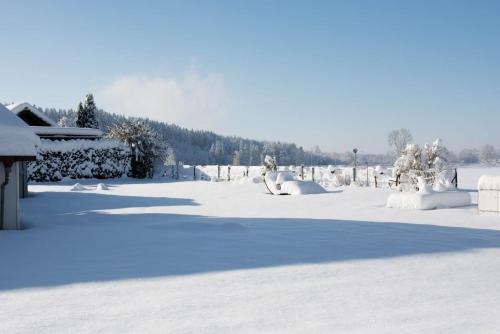Ferienwohnung Kleiner Spatz Ferienwohnung Kleiner Spatz