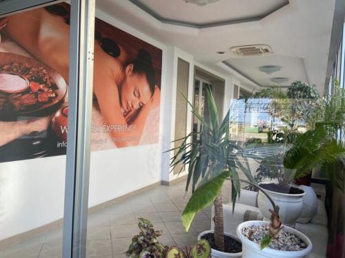 Hotel Butterfly - image 9