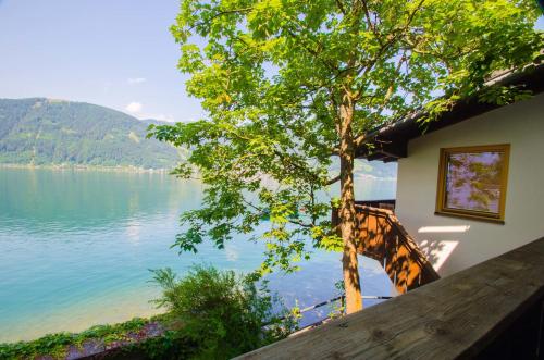 Waterfront Apartments Zell am See - Steinbock Lodges