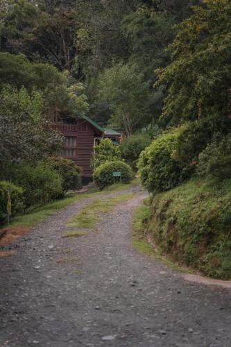 Cedrela Eco-Lodge & Restaurante