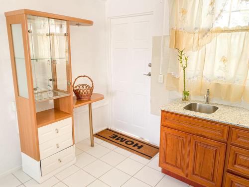 One-Bedroom Apartment image 6