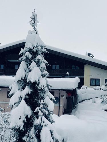 Viesnīcas āriene, Appartementhaus Hochkönig - Panoramablick (Appartementhaus Hochkonig - Panoramablick) in Muhlbach