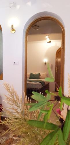 Apartment with Terrace image 8