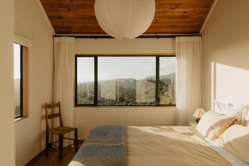 Buffalo Lodge in Coromandel