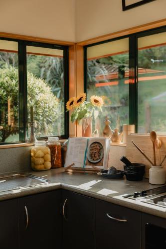 Buffalo Lodge in Coromandel