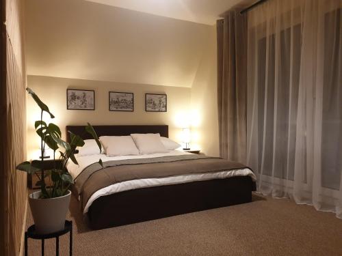 Biały Domek Rafaczówki - Apartment - Suche