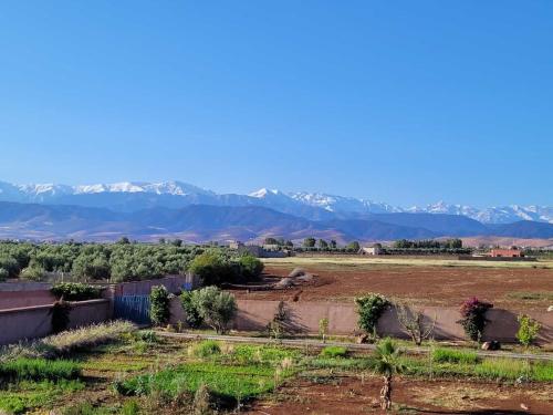 Family Farm Marrakech - Accommodation - Tahannout