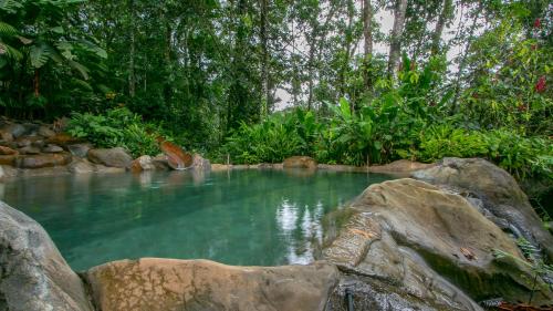 Chachagua Rainforest Hotel & Hot Springs, Fortuna (photo 4)