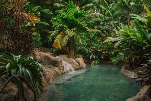 Chachagua Rainforest Hotel & Hot Springs, Fortuna (photo 2)