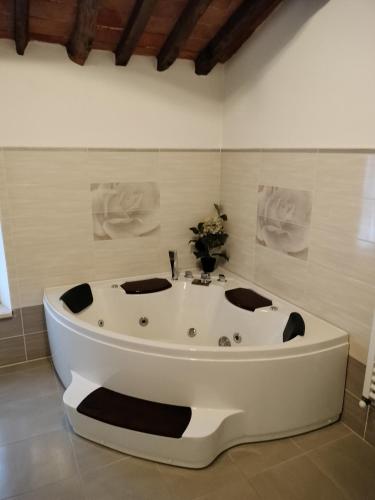 B&B La Rosa Nel Verde 4