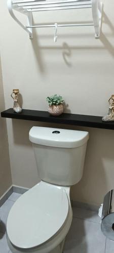 Habitación Damiana in Cabo San Lucas, Mexico