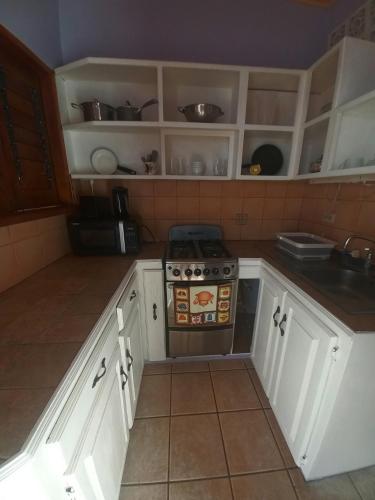 Kitchen, The Seaside Garden Guesthouse in Buccoo