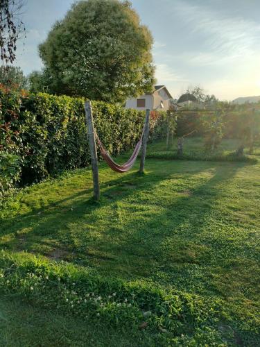BeB La Rosa Nel Verde - image 6