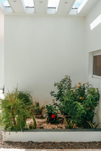 Garden, Villa Sol House in Cabrera