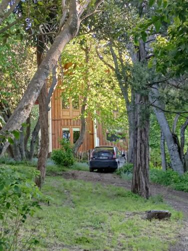 Casita en el bosque