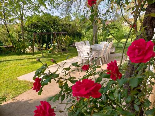 Gite la Doline 3* in Souillac