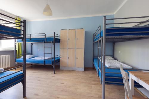 Single Bed in 10-Bed Dormitory Room