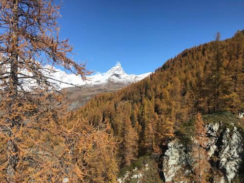 appartamento Cervinia fronte Funivie CIR 0480