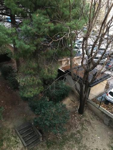 FLC - Catalans 300M -Old Port- Hyper Center- 2 Bedrooms, Marseille (photo 5)