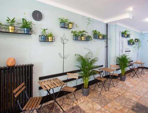 ล็อบบี้, พาทิโอ โฮสเทล (Patio Hostel) in บราติสลาวา 1