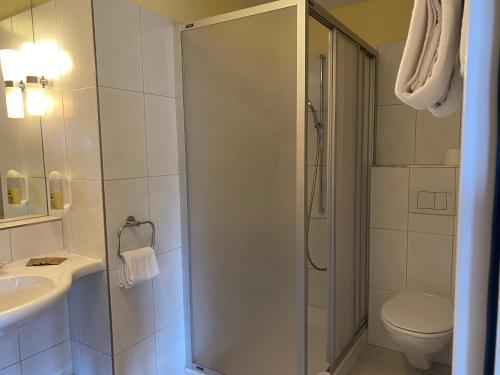 Hotel Postigliun Andiast - image 4