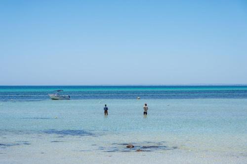 Fastnet - Dunsborough