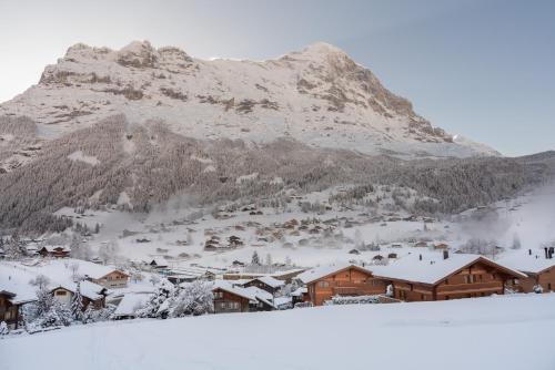 Chalet Alia and Apartments-Grindelwald by Swiss Hotel Apartments - Grindelwald