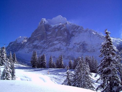 Hotel Alte Post in Grindelwald, Schweiz