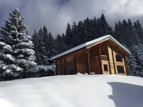 Chalet aux Cerfs - Maison pour 10 vue montagne - Location saisonnière - Arâches-la-Frasse