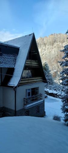 Penzion Svojanov in 比斯特雷