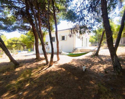 My Place 2 in Chamolia (Attiki)