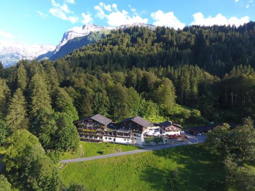 Hotel Bänklialp - Engelberg