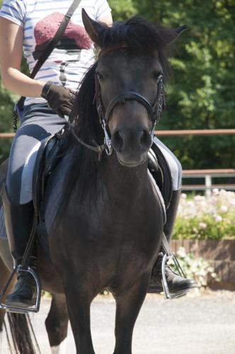 Agriturismo Jesson Rosamund