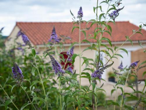 Accommodation in Fossemagne