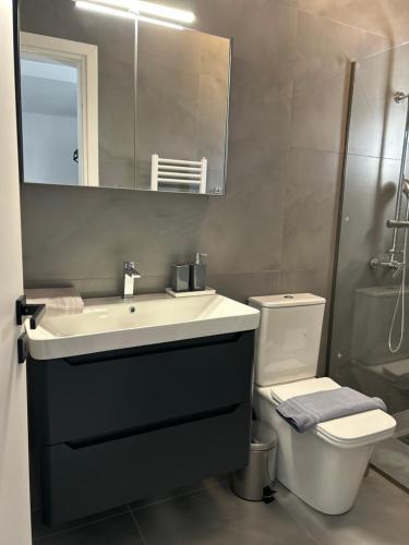 Athens white apartments, Atene (foto 3)
