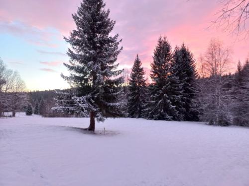 Fritidshus Hammare Hagfors in Hagfors
