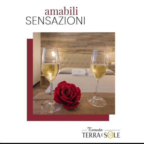 Tenuta Terra e Sole 2