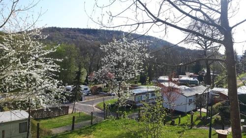 Camping Officiel Wollefsschlucht Echternach - Chalet