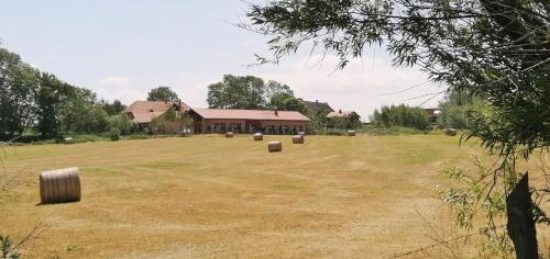 Hof am Meer "Seefalke" in Meschendorf, Deutschland