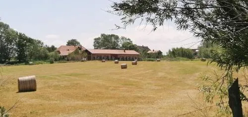 Hof am Meer "Seefalke" in Meschendorf, Deutschland