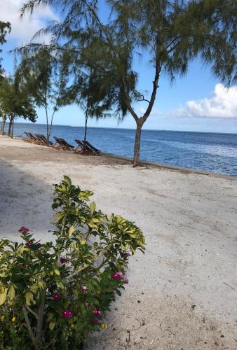 Bon Vivant Front de Mer - Ile Rodrigues 3