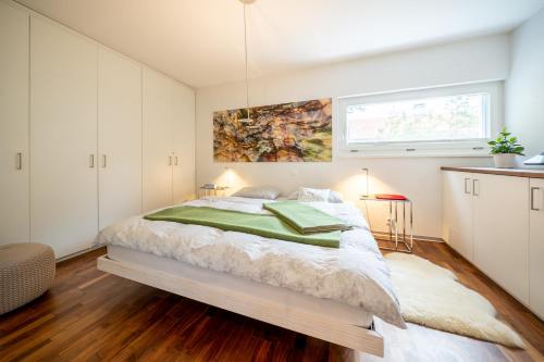 Chasa Splerin - image 3