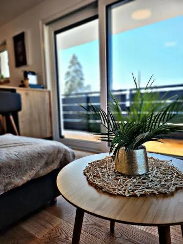 Lions Place Premium Apartments EXECUTIVE Luxus PENTHOUSE inklusive SPA in Heidenheim, Deutschland