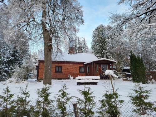 B&B Tukums - LejasVāgneris - Bed and Breakfast Tukums