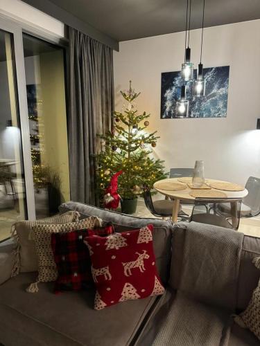 One-Bedroom Apartment image 9